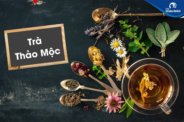 Tác dụng của mộc thanh trà